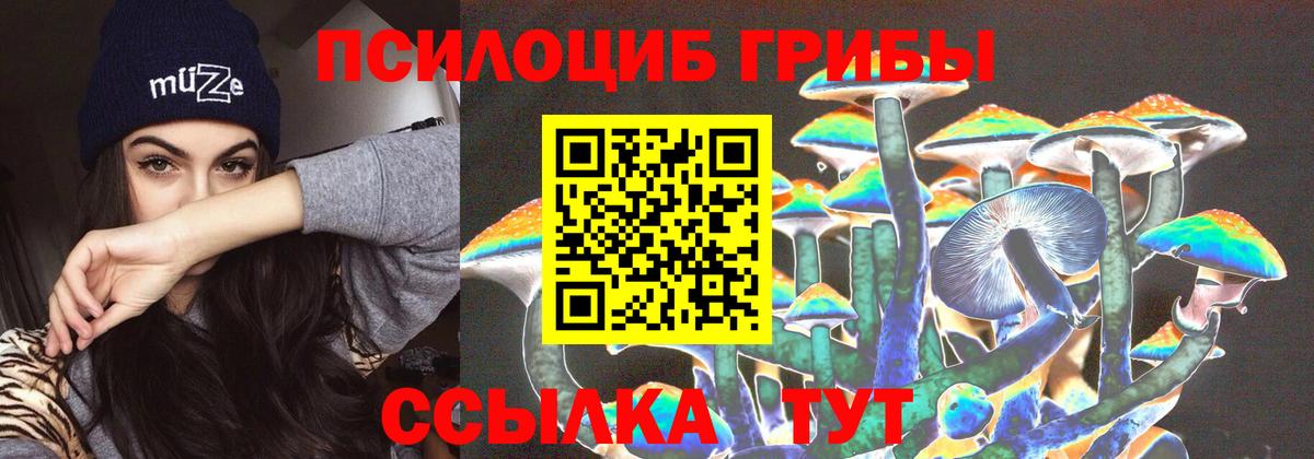 Псилоцибиновые грибы MAGIC MUSHROOMS Севастополь