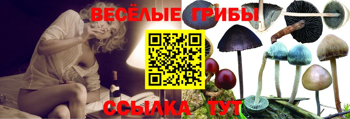 Севастополь  Псилоцибиновые грибы GOLDEN TEACHER  Псилоцибиновые грибы мицелий  Вход с VPN 